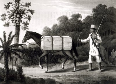 A Cotton Carrier, from 